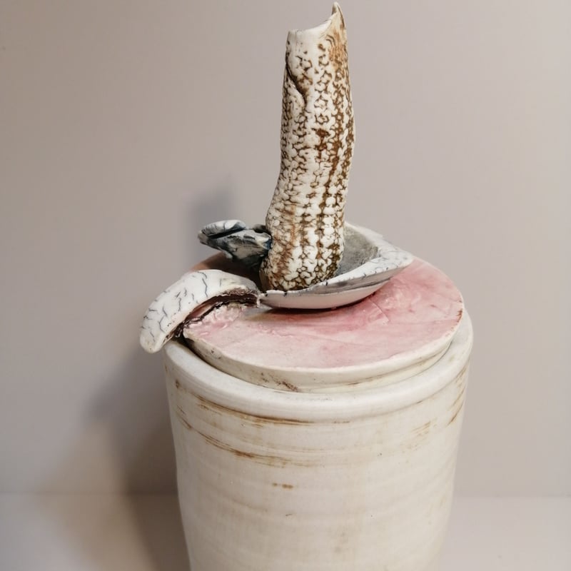 キムホノ 蓋物 【公式通販】