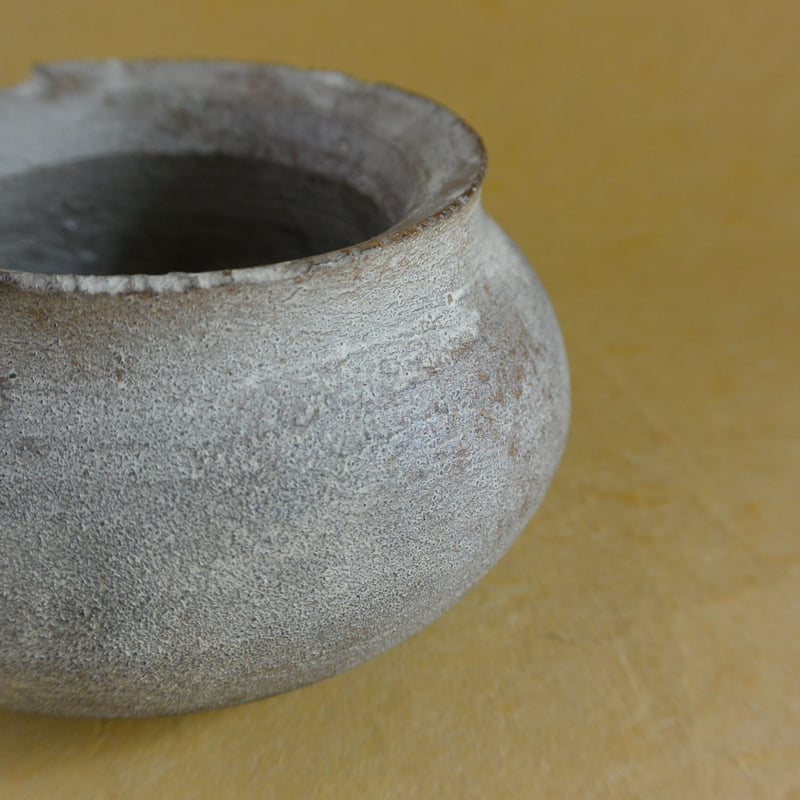 清代 壺 朱泥水平壺（急須）（1616–1911CE） 入蘆花（ロカニイル） | 食器