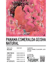 [50g][Medium Roast] パナマ エスメラルダ農園 ゲイシャ ナチュラル Panama Esmeralda Geisha