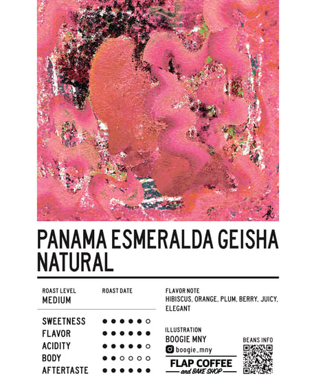 [50g][Medium Roast] パナマ エスメラルダ農園 ゲイシャ ナチュラル Panama Esmeralda Geisha