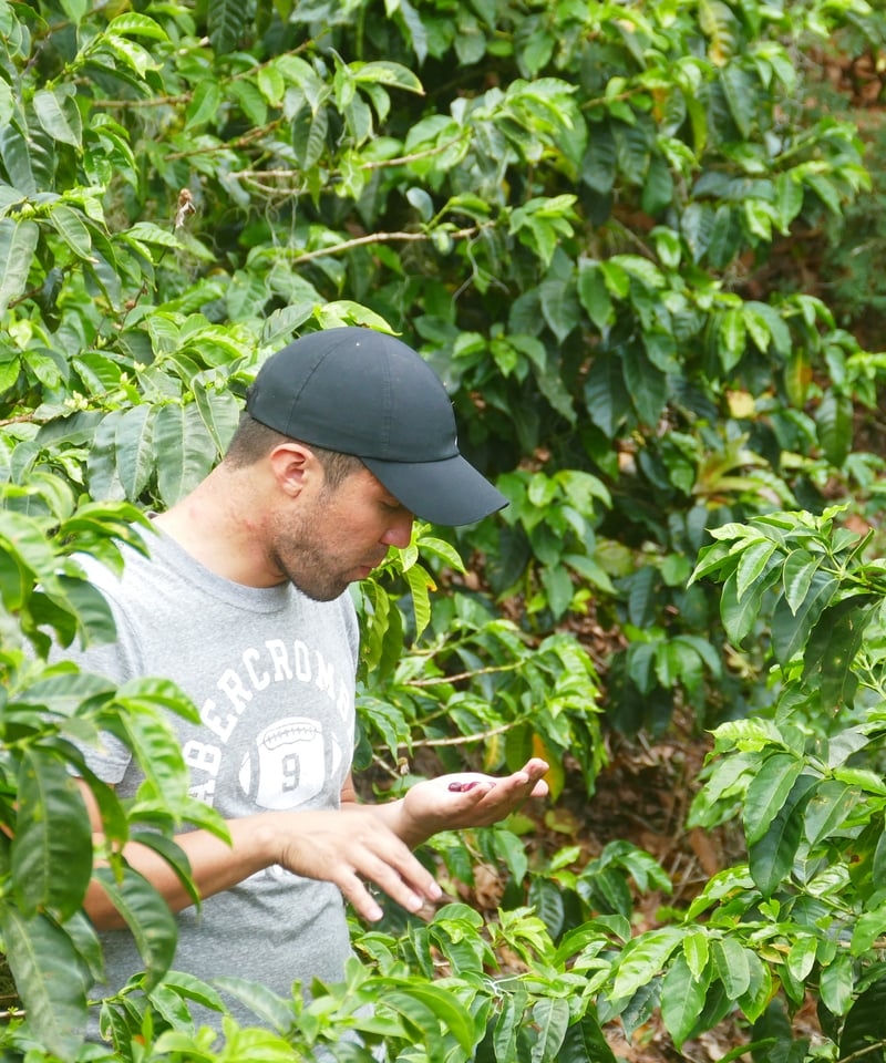 100g][Medium Roast] ニカラグア セロ・デル・シエロ農園 Nicaragu