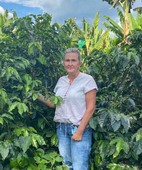 [100g][Medium Roast] Colombia キンディオ Quindio CH Strawberry Infused Honey