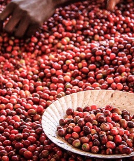 [100g Full City Roast] ケニア AA コフィナフ KENYA AA COFFINAF Mill Dark Roast