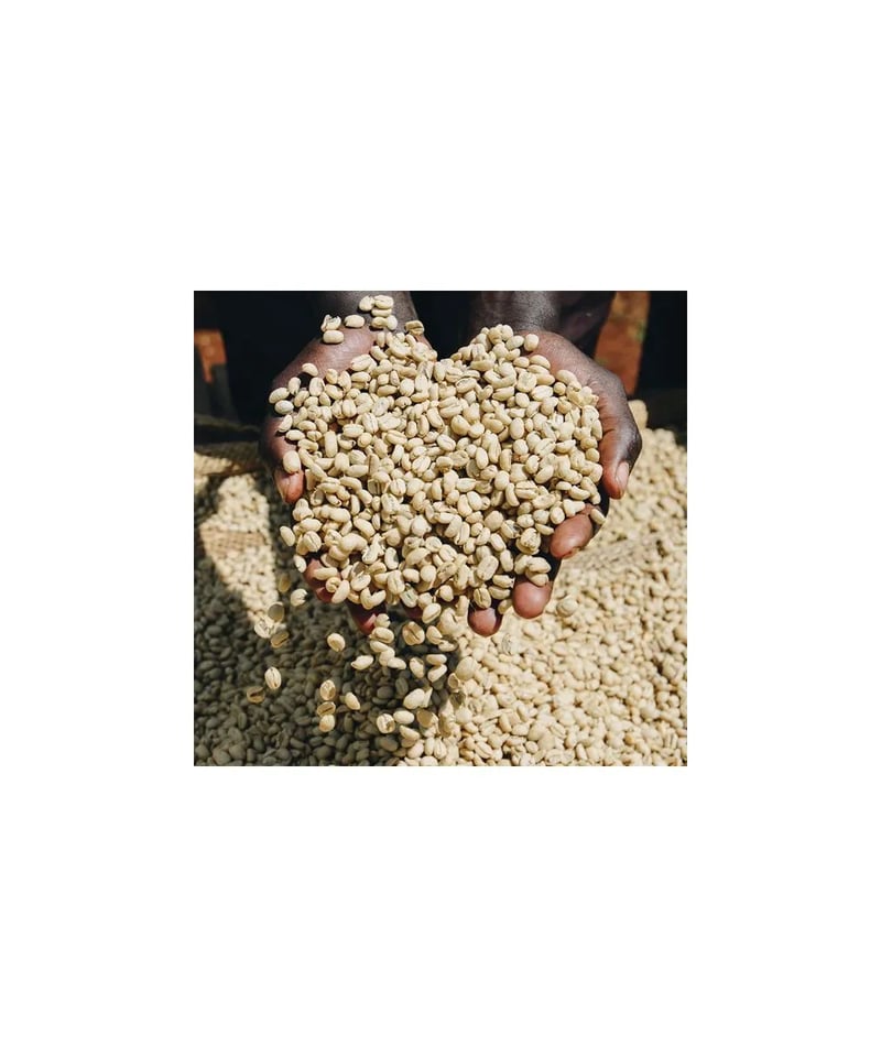 100g] [Cinnamon Roast] エチオピア イルガチェフェ G1 アリチャ ウ