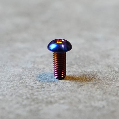 ボトルケージ用 64チタンボルト（Ti-6Al-4V）チタン合金 1.4g