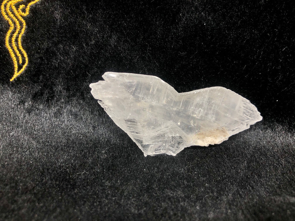 セレナイト（透石膏）・双晶フィッシュテール【中サイズ24.4g】ケース
