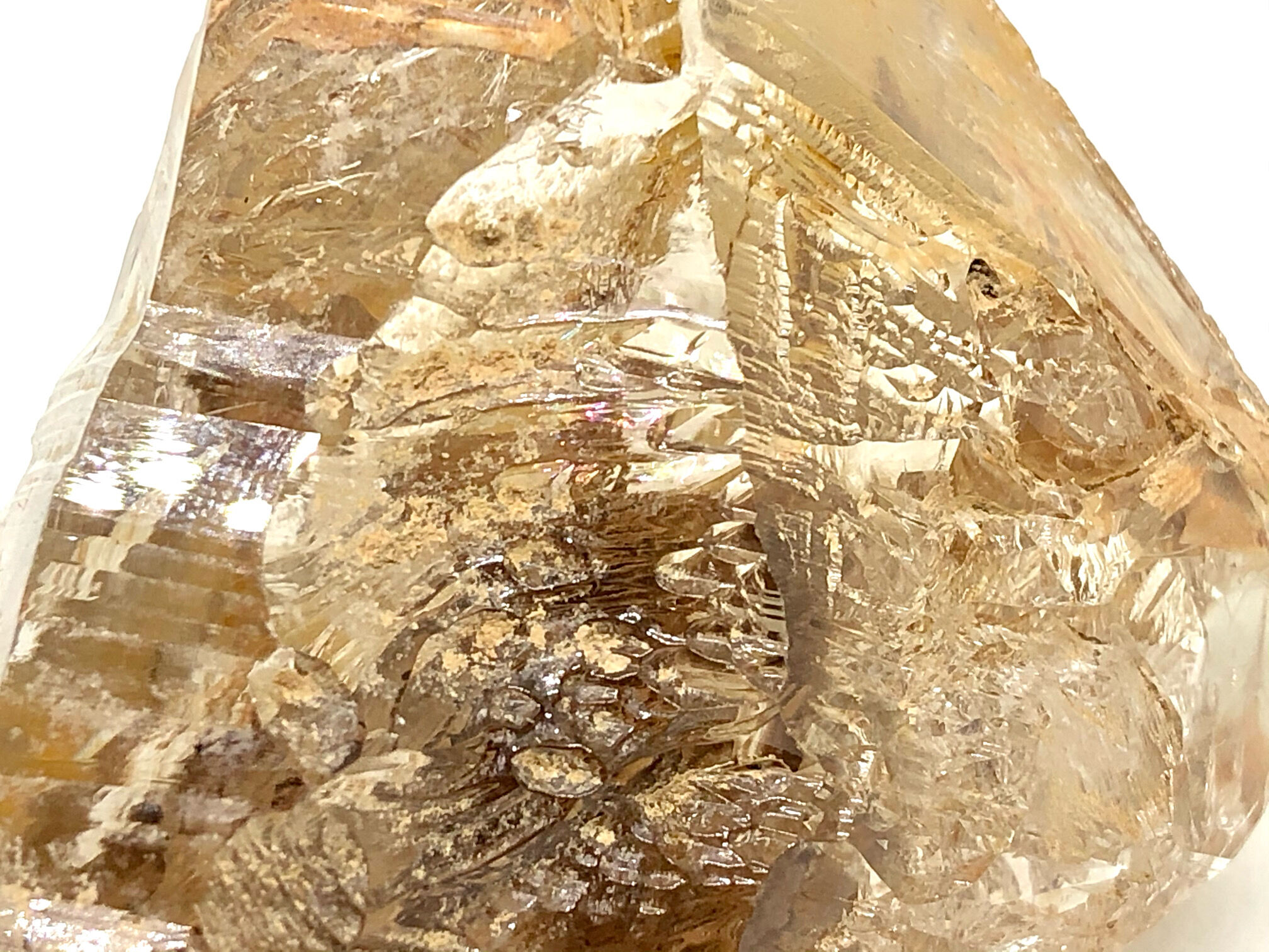 パキスタン産　ウィンドウクォーツ　骸骨水晶　スケルトン　65g 天然石 超高透明度！】パキスタン産エレスチャルウィンドウクォーツ・天然六角