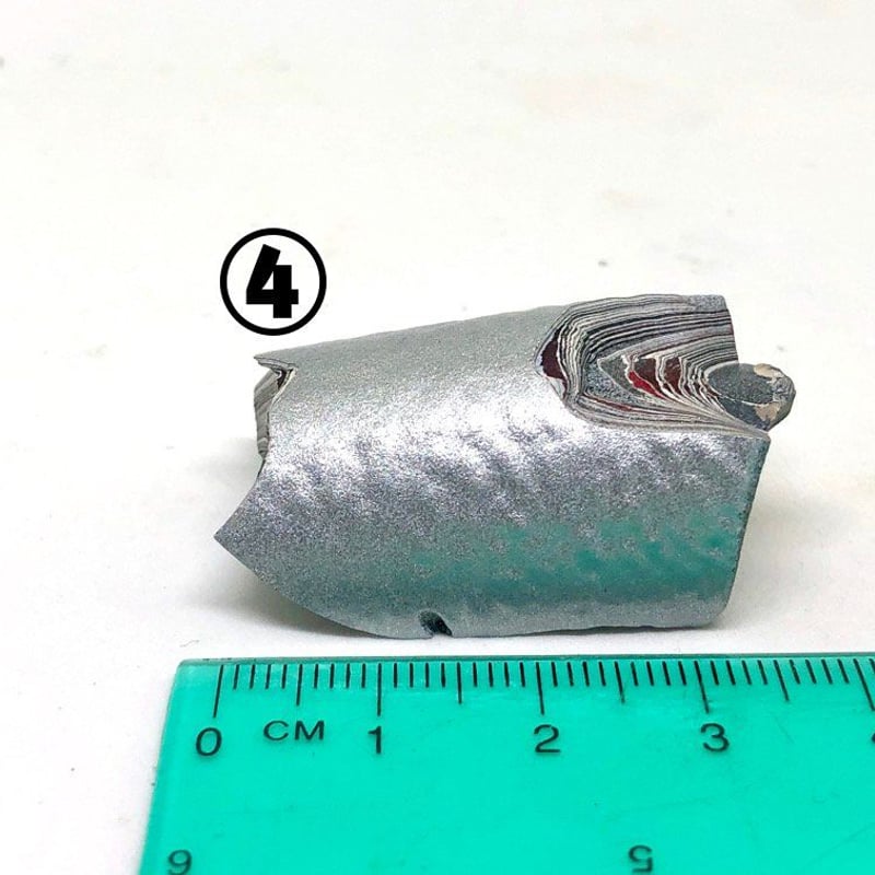 【開封のみ】皮面偽装個体　灰眩　東亜重工 開封のみ】皮面偽装個体 灰眩 東亜重工 黑貍 on X: