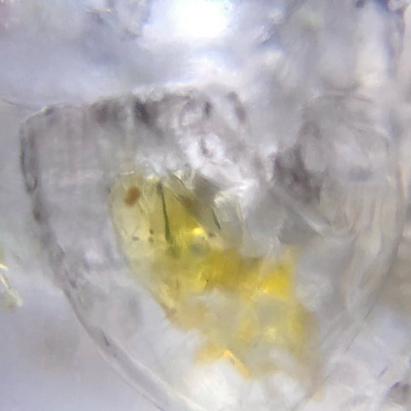 超強蛍光！】パキスタン産オイルインクォーツ・単晶【②8.90ct】 | へ