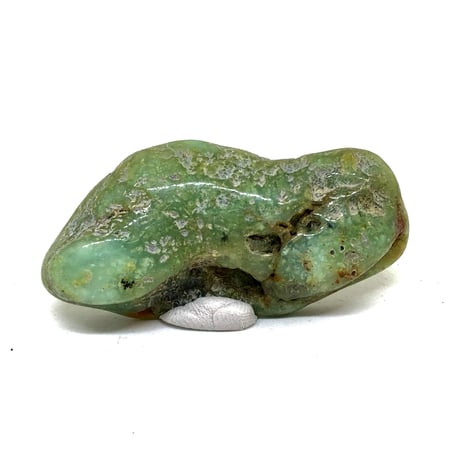 緑玉髄 | STORES 緑玉髄 | STORES
