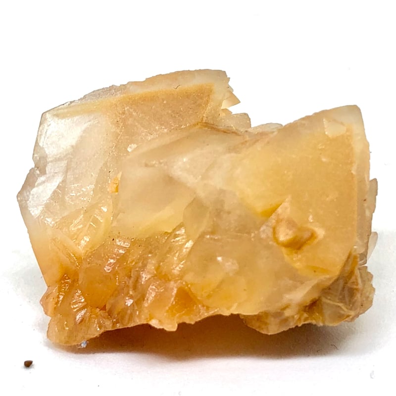 希少！犬牙状カルサイト共生のセレスティン特大クラスター標本 中国湖北省産 ゴールデンカルサイト 犬牙状結晶 | 今林商店