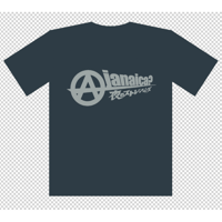 ええじゃないかTシャツ (スレート × グレー)