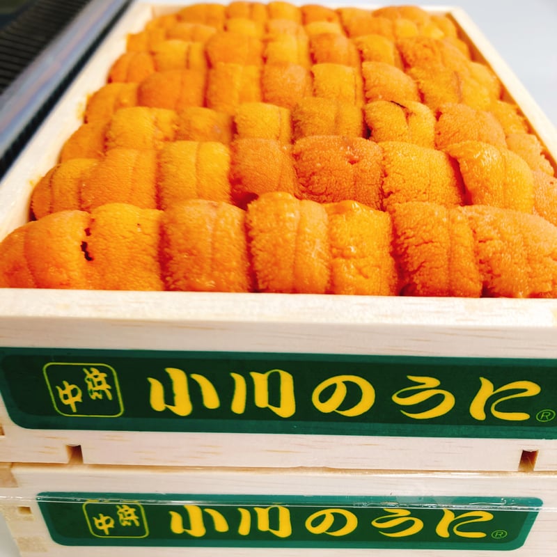 生ウニ 小川のうに 250g(一粒 約4cm-5cm) みずみずしけれ ロシア産& 生ウニ 小川のうに 250g(一粒 約4cm-5cm) みずみずしけれ ロシア産&