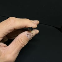 極小抜き型 亀