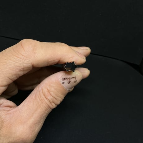 極小抜き型 亀