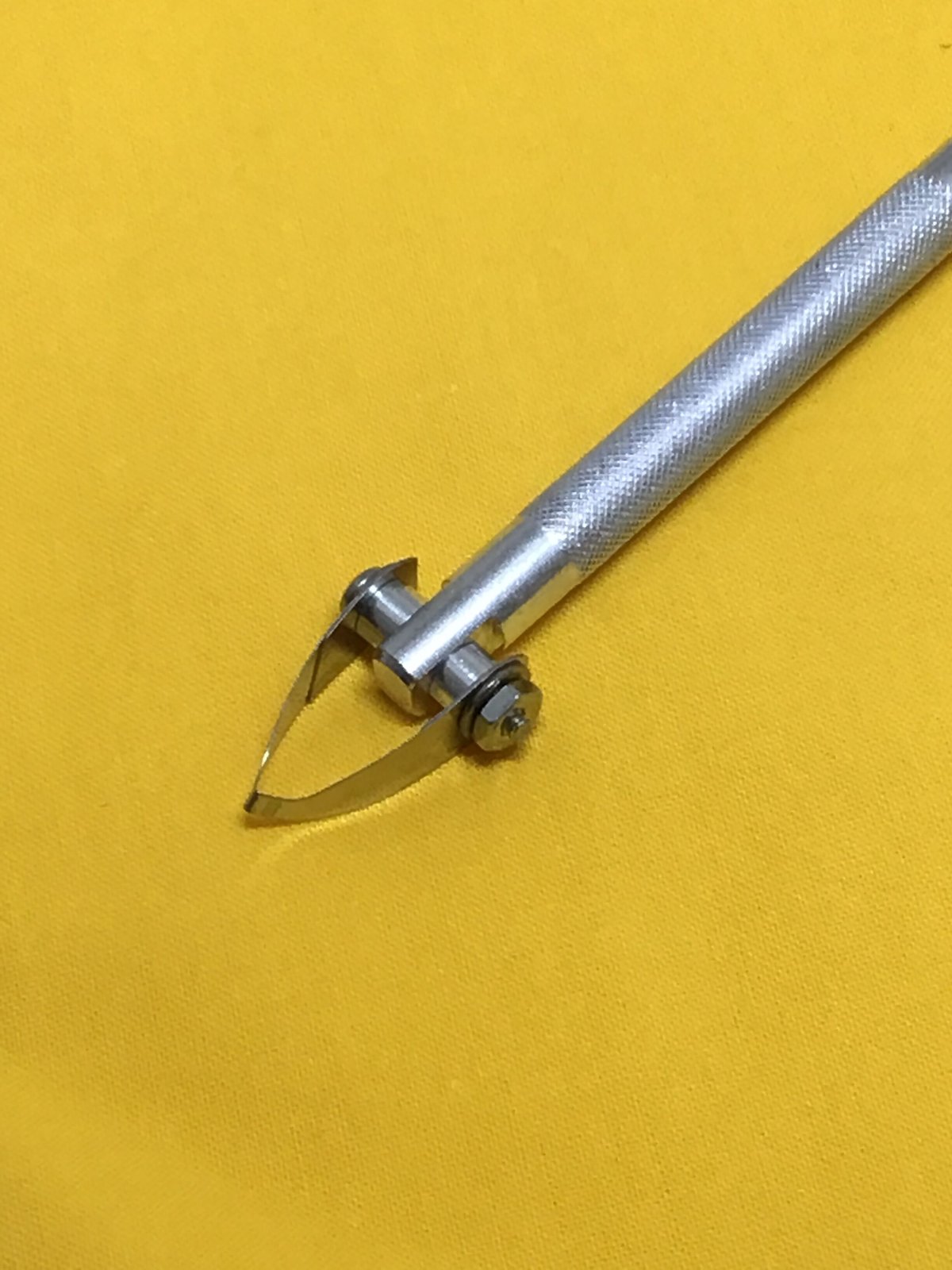 ポメころびページです＊カービング fit=scale-down,w=1200