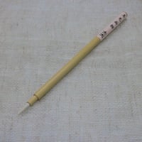 玉毛白圭　大大
