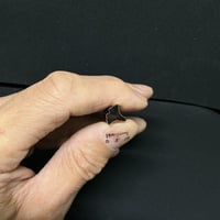 極小抜き型 銀杏