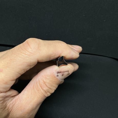 極小抜き型 銀杏