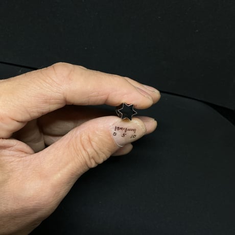 極小抜き型　六星