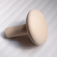 きのこコテ大