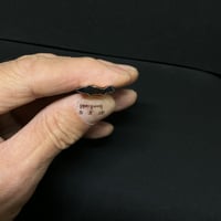 極小抜き型 鮎