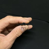 極小抜き型 金魚甲