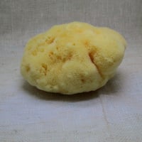 天然海綿ファインシルク　大