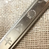 ホタテムキ