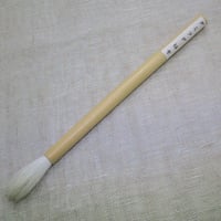 ダミフデ１２号