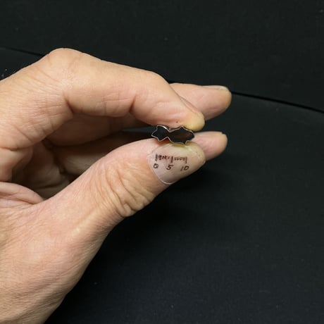 極小抜き型 金魚乙