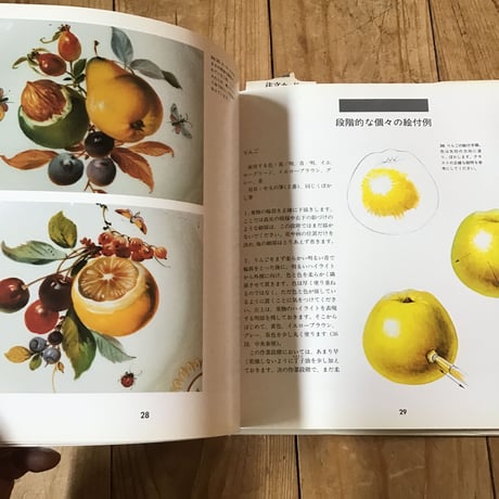 磁器絵付けハンドブック　果物、茸、木の実
