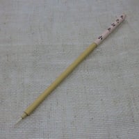 玉毛白圭　小