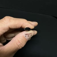 極小抜き型 柊