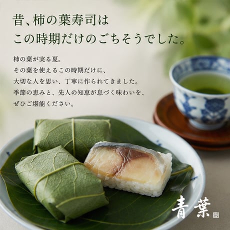 【期間限定】鯖（青葉）