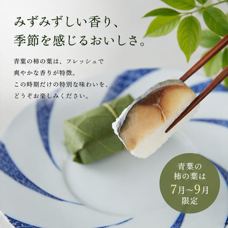 【期間限定】鯖（青葉）