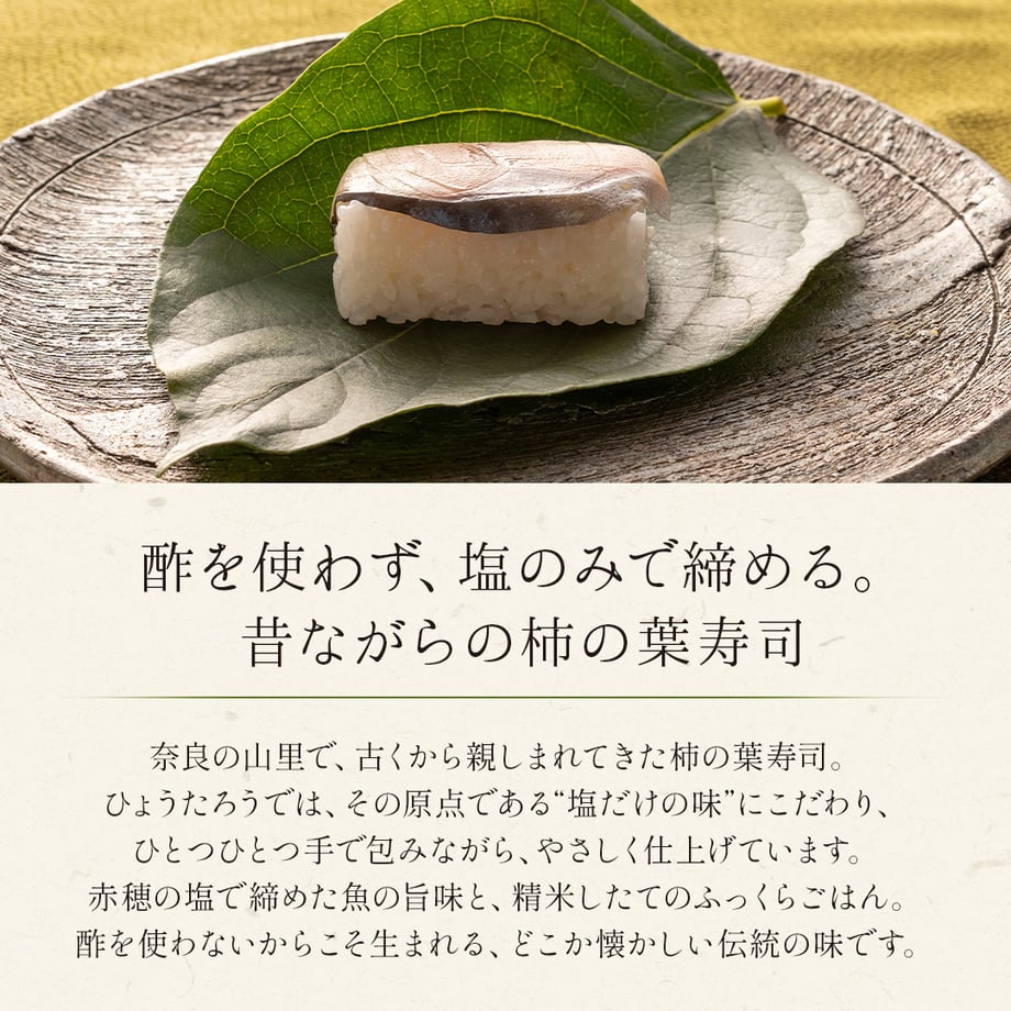 5e94154b51576257b6a73f6f