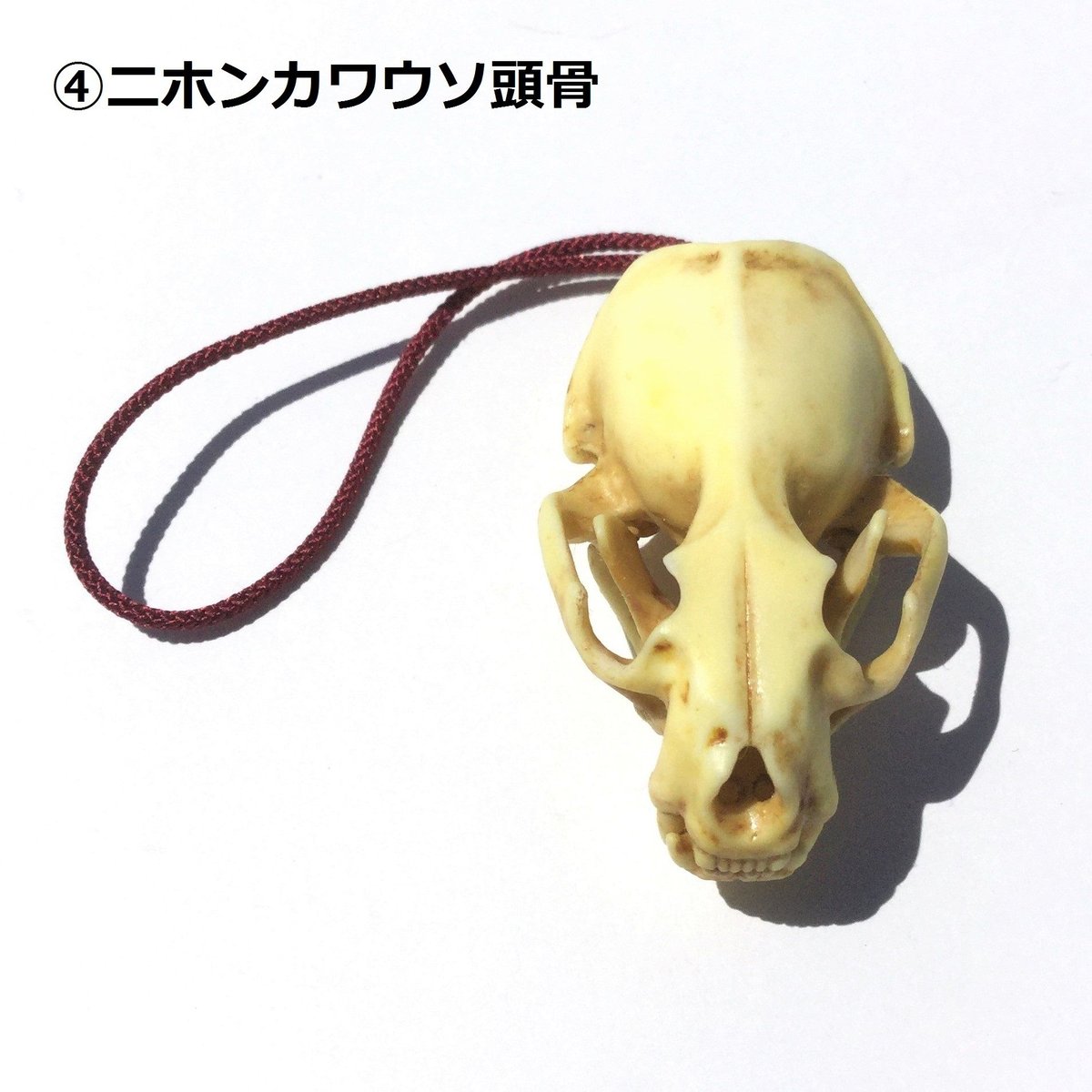 ともたん　根付 オリジナル根付【塗装済み完成品】 | 海洋堂ホビー館四万十