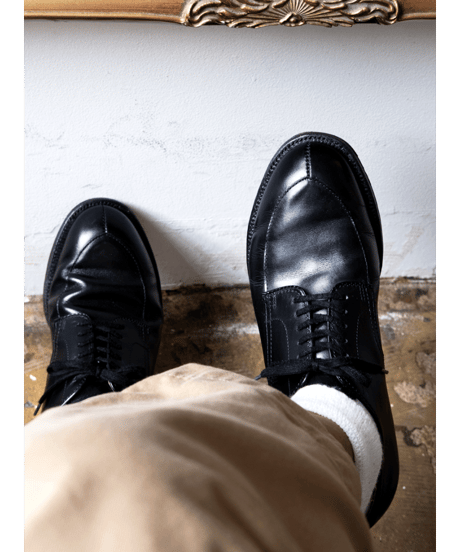 ALDEN　#54411 ALGONQUIN BLUCHER OX.