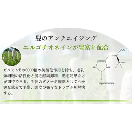 ウルティア スキャルプエッせンス（予防型アンチエージング育毛剤）100ml