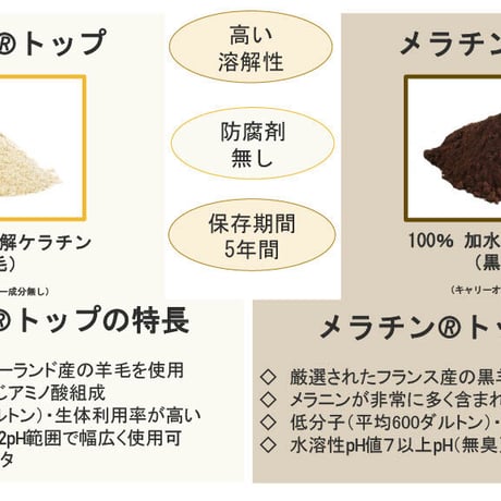 （高補修力）活性ケラチンシャンプー1L