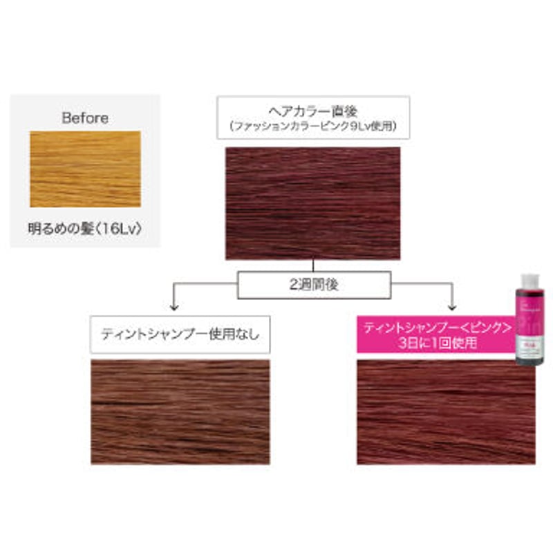1回で分かるほど濃く色づく！ノジア ティントシャンプー 〈シャンプー