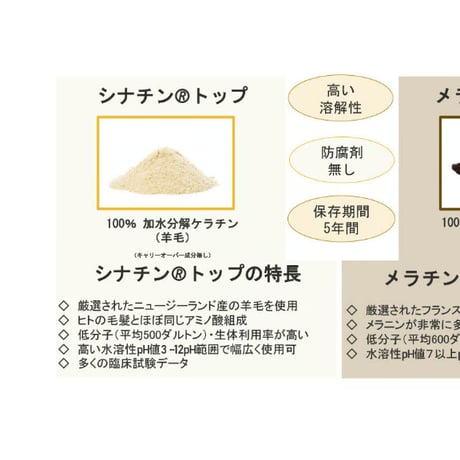 （高補修力）活性　ケラチンシャンプー300ml