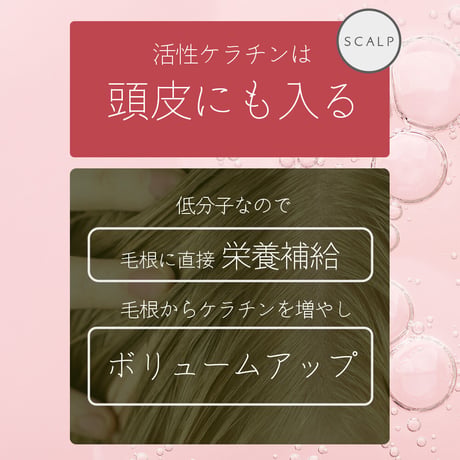 （高補修力）活性　ケラチンシャンプー300ml