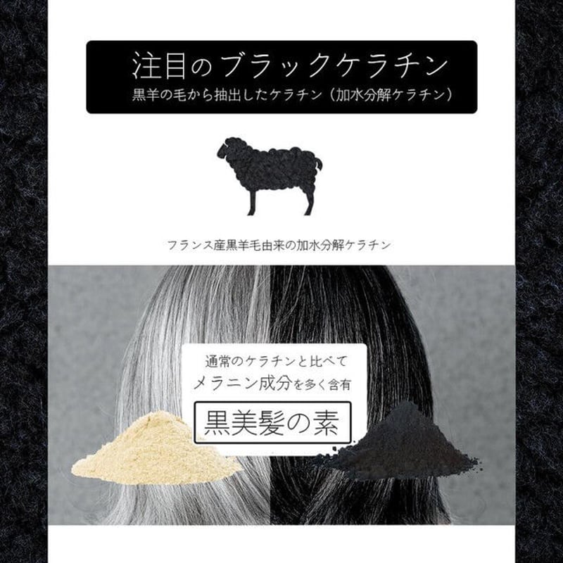 白毛予防にも！最高級ブラックケラチンシャンプー詰め替え1L | LUZ