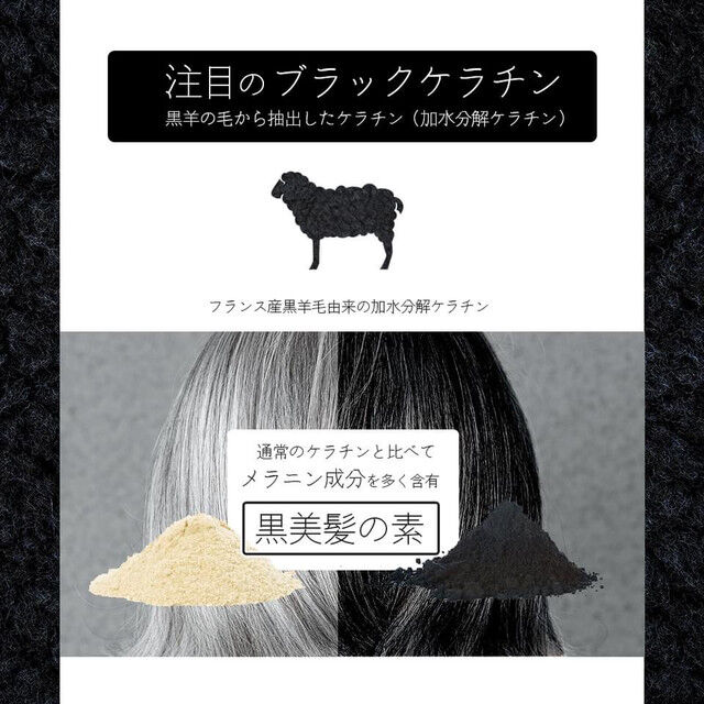 白毛予防にも！最高級ブラックケラチンシャンプー詰め替え1L | LUZ