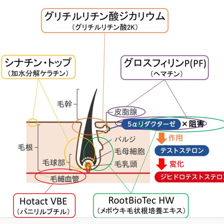 新発売！毛髪強化　育毛トリートメント　ミルミナ
