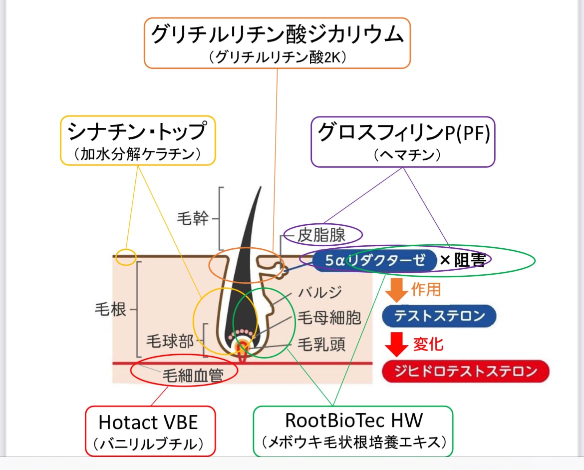 新発売！毛髪強化 育毛トリートメント ミルミナ | LUZ beauty shop