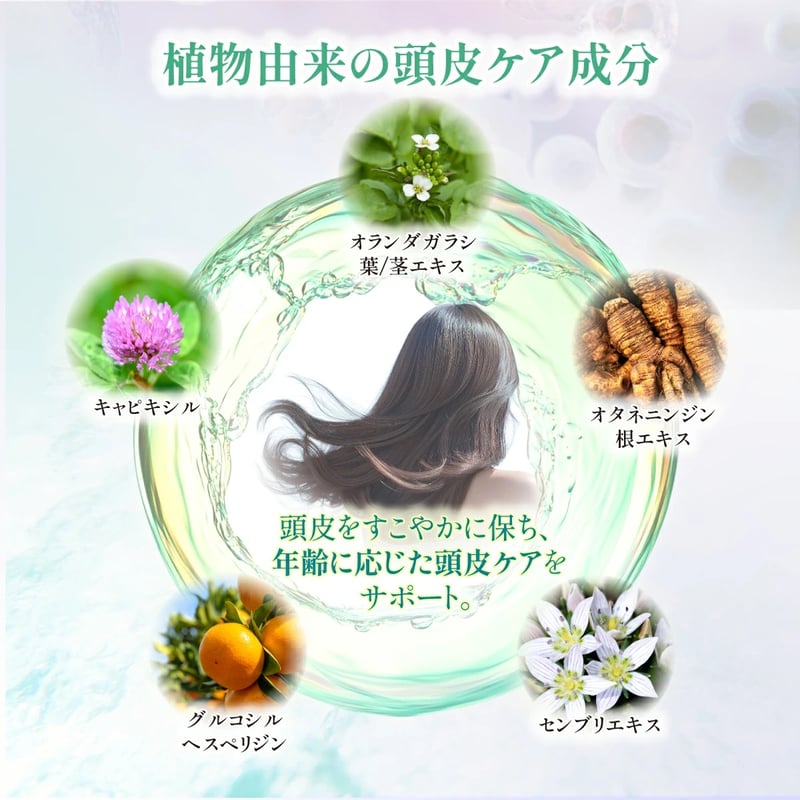 ラセッタ01 お得な500ml詰め替え | LUZ beauty shop