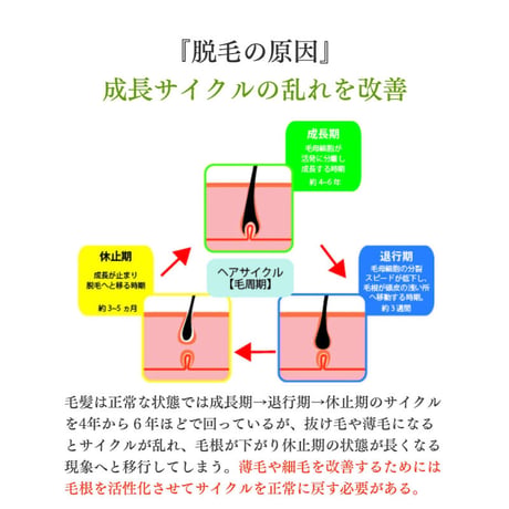 ウルティア スキャルプエッせンス（予防型アンチエージング育毛剤）100ml